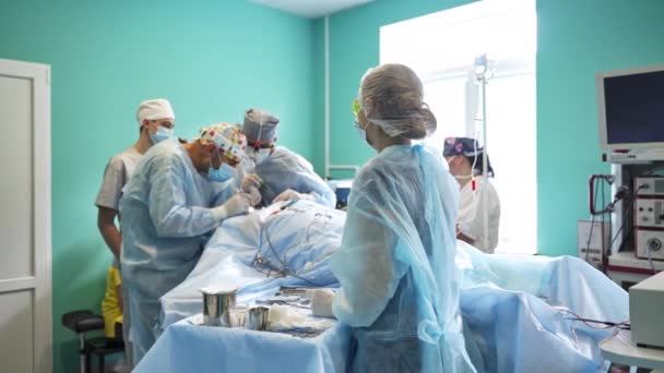 Műtéti Beavatkozás Folyamatban Két Sebész Áll Közel Beteg Irányításához Segítők — Stock videók