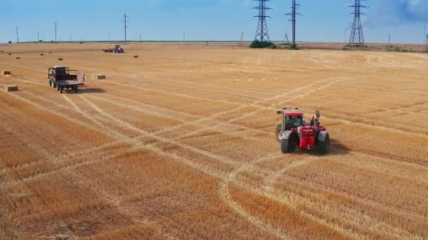 Modern Red Excavator Lifts Bale Hay Puts Other Bale Electric — Stock Video