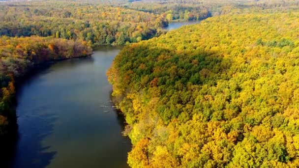 ラムース川の上に豊かに成長する秋の森の美しい景色 ドローンは美しい風景の上に上昇する撮影 — ストック動画