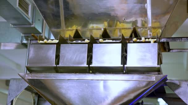 Automatisierte Metallausrüstung Einer Lebensmittelfabrik Moderner Prozess Der Snackproduktion Gelber Mais — Stockvideo