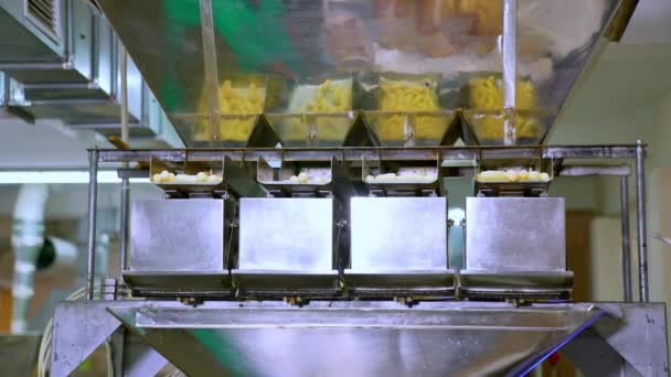 在现代化工厂生产工业食品 生产素食玉米小吃的金属设备 — 图库视频影像