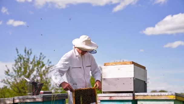 Man Working His Apiary Using Special Tools Apiarist Bent Hive — Stock Video