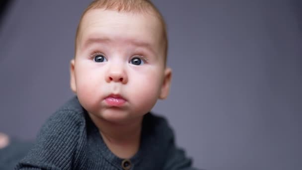Gesunder Kaukasischer Kleinkind Junge Blickt Auf Hebt Kleine Augenbrauen Und — Stockvideo