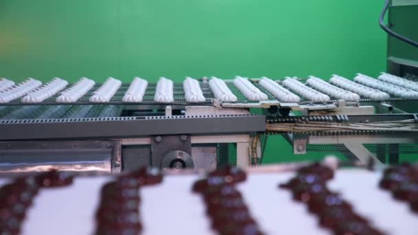 Linea Automatizzata Produzione Dolci Dolci Fabbrica Nastri Trasportatori Con Marshmallow — Video Stock