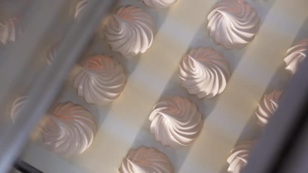 Marshmallows Baunilha Cremoso Bonito Vêm Uma Máquina Correia Transportadora Com — Vídeo de Stock