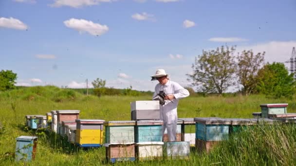 Απιαρίστας Που Δουλεύει Στη Μελισσοκομική Φάρμα Χρησιμοποιώντας Καπνιστή Θυμωμένες Μέλισσες — Αρχείο Βίντεο