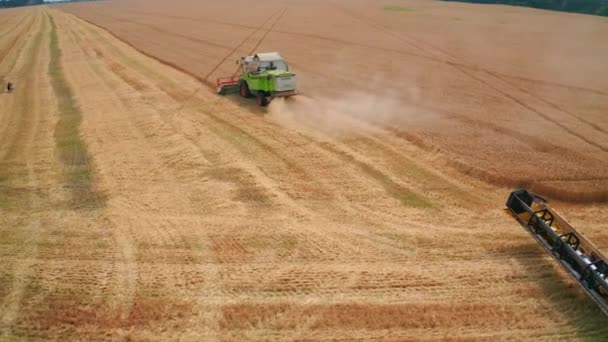 Mezőgazdasági Gépek Dolgoznak Mezőgazdasági Földeken Kompakt Zöld Kombinálja Száraz Érett — Stock videók