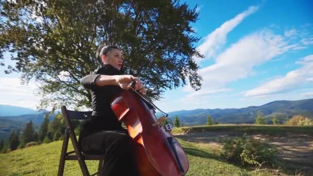 独奏音乐的演奏者坐在大自然中 美丽山区身穿黑衣的小提琴音乐家女士弹奏乐器 — 图库视频影像