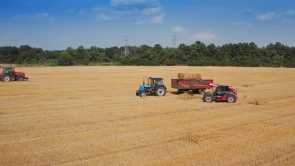 収穫後 農地で作業する機械 ローダーは干し草を集めてトラクターに積み込む 背景にある緑の木 — ストック動画