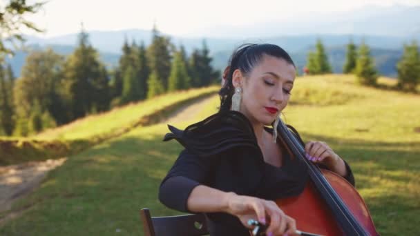 明るいメイクを施したミュージシャンは 山でクラシック音楽を演奏します 日当たりの良いメドウの木の下に座ってチェロを演じる女性 — ストック動画