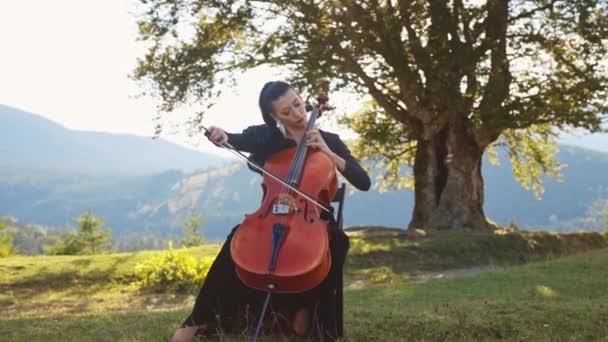 Sitting Lady Black Dress Performs Cello Music Musician Playing Instrument — Stock Video