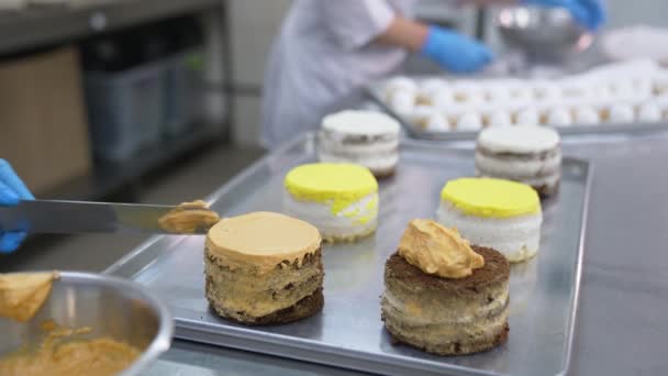 Spatule Métallique Est Utilisée Pour Étaler Crème Sur Surface Gâteau — Video