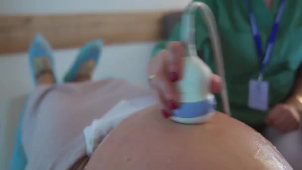Abdomen Cubierto Gel Una Mujer Embarazada Chequeo Ultrasónico Dispositivo Movimiento — Vídeo de stock