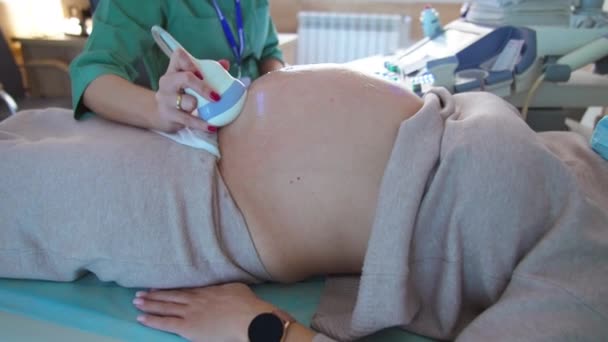 Examen Diagnóstico Ultrasónico Para Mujer Embarazada Médico Mueve Dispositivo Ultrasónico — Vídeo de stock