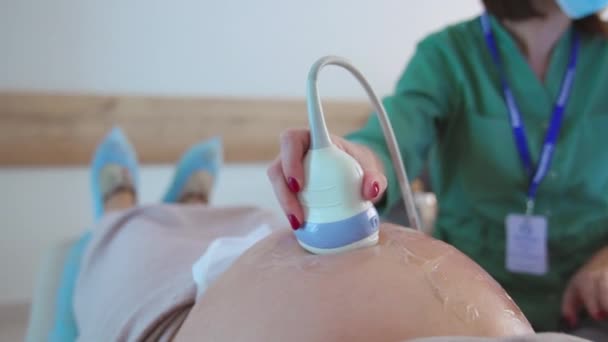 Mujer Embarazada Con Gran Estómago Examen Médico Médico Utiliza Dispositivo — Vídeos de Stock