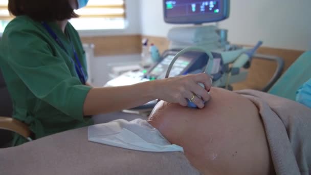 Buik Van Een Zwangere Vrouw Bij Dokterscontrole Ultrasoon Onderzoek Laatste — Stockvideo