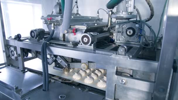 複雑なメカニズムが働き マシュマロを生産する自動機械 近代的な食品工場の設備 — ストック動画