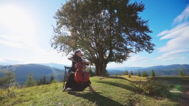 Széken Ülő Női Zenész Gordonkázik Klasszikus Zenelejátszó Háttérben Hegyek Napsütéses — Stock videók