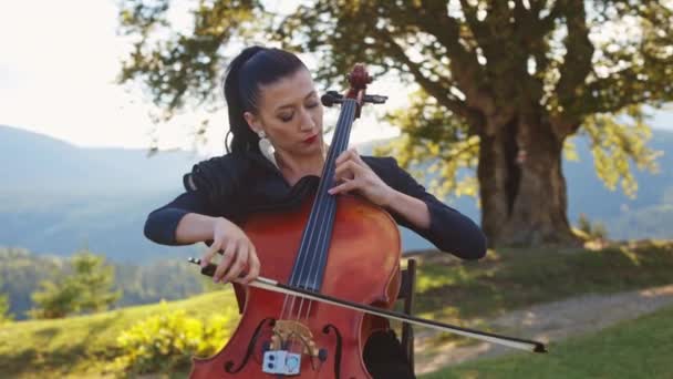 Klasszikus Zenét Elő Hegyvidéken Fiatal Felnőtt Női Játékos Visel Gyönyörű — Stock videók