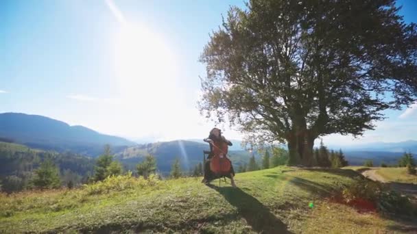 自然の中で音楽を演奏するエモーショナルチェロプレイヤー 女性ミュージシャンが山岳地帯に座ってベースビオールを演奏 — ストック動画