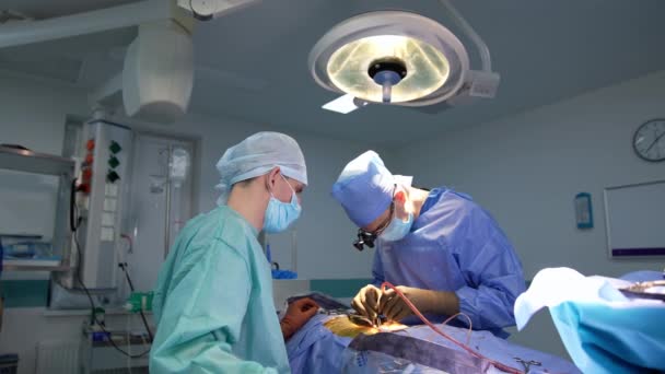外科医は 両手でツールを使用して動作する正確な作業を行います 患者さんの横に立っているアシスタントの支援 — ストック動画