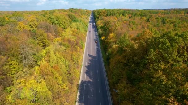 汽车沿着新的高速公路行驶 阳光明媚的日子里 美丽的秋天森林穿过公路 空中景观 — 图库视频影像