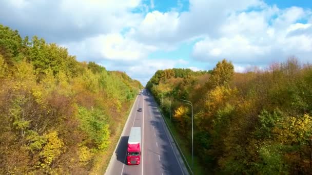 高速道路は 秋の初めの季節に美しい森を通り抜けています 晴れた日に車に乗って高速道路上のドローン映像 — ストック動画