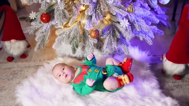 Altında Elf Kostümü Giymiş Güzel Bir Çocukla Noel Ağacı Tüylü — Stok video