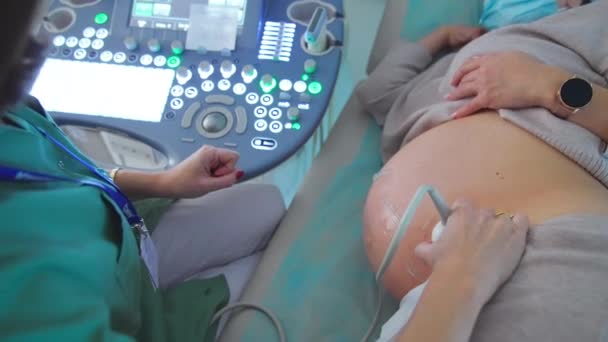 Ciężarna Kobieta Leży Kanapie Boku Położnik Wykonuje Diagnostykę Ultradźwiękową Pacjenta — Wideo stockowe