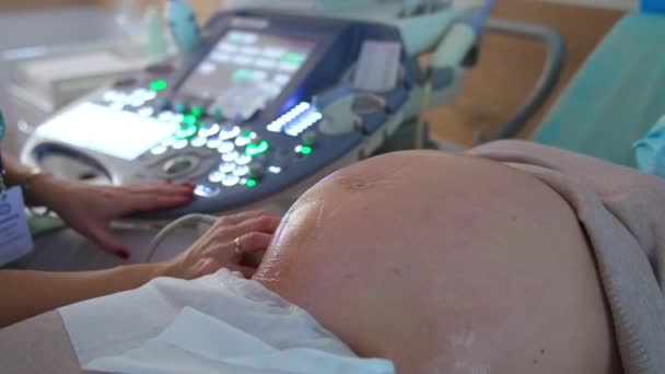 Großer Bauch Bedeckt Mit Gel Einer Schwangeren Frau Ärztin Führt — Stockvideo