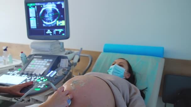 過去数ヶ月の妊娠の大きな腹を持つ女性は 超音波スキャンでチェックされています 医者の手はゲルで覆われた腹部のまわりで装置を動かします — ストック動画
