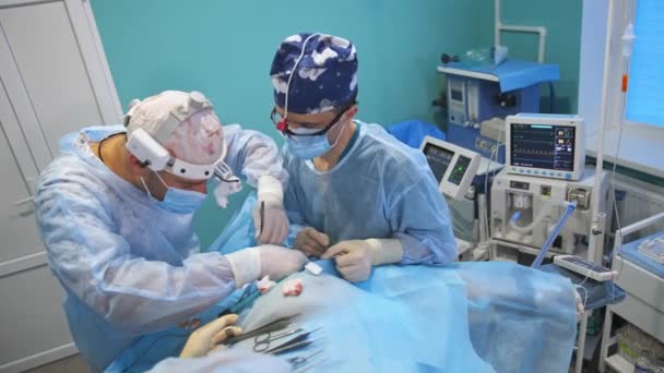 現代の手術室で患者を手術する 2人の医師が患者の体に置かれた金属製の道具を使って働いている — ストック動画