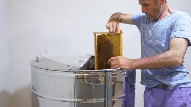 养蜂人把框架放进金属桶里拿蜂蜜 人类小心地把蜂窝放进特殊的装置中 — 图库视频影像