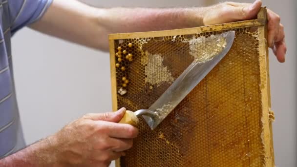 Пчеловод Открывает Восковые Клетки Запечатанные Пчёлами Фермер Использующий Электрическое Устройство — стоковое видео