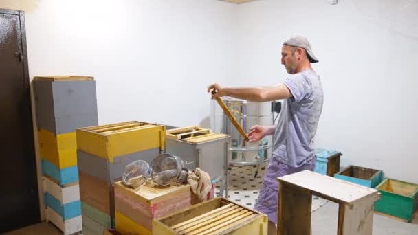 有木制蜂窝和盒子的照明室 雄园艺师把蜂蜜架从一盒换到另一盒 — 图库视频影像
