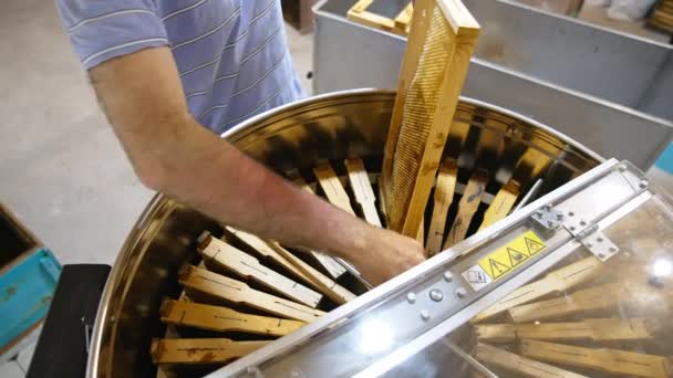Der Mann Shirt Steckt Den Honigrahmen Ein Metallfass Imker Dreht — Stockvideo