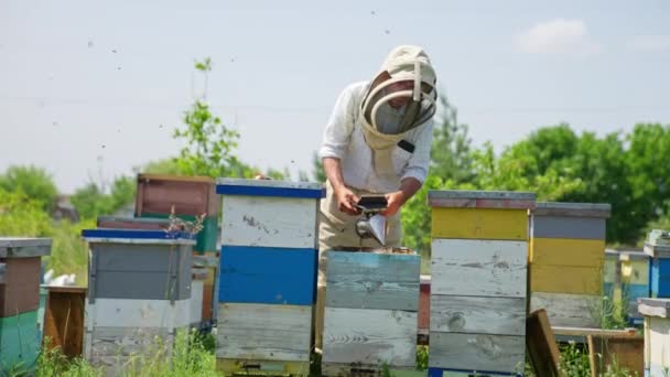 Koruyucu Şapkalı Apiculturist Bir Cihazdan Arıları Tüttürüyor Adam Böcekleri Sakinleştirmek — Stok video