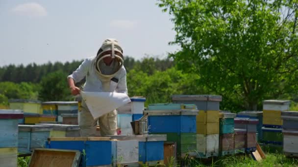 Мужчина Пасечник Заботится Своей Ферме Солнечный День Пчеловод Покрывает Пчелиный — стоковое видео