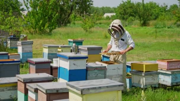 ミツバチを蜂のフレームから振りかける男性の養蜂家 晴れた夏の日にミツバチの農場を調べてみました バックドロップの木 — ストック動画