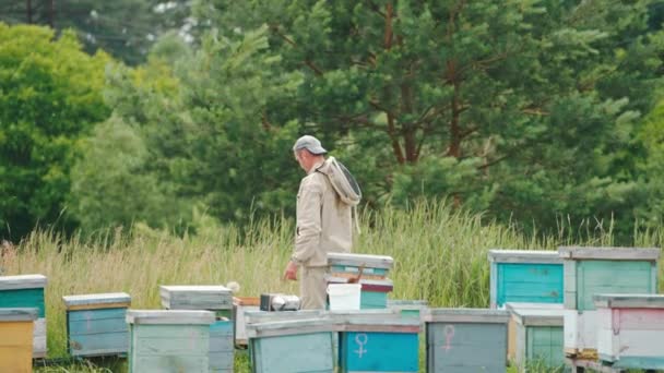 Апиарист Стоящий Своей Пчелиной Ферме Рядом Лесом Человек Идет Выбирает — стоковое видео