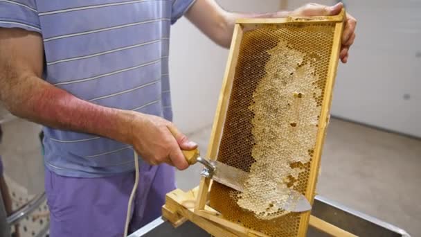 ハチミツを収穫する男性のアペルニスト 人間の手は 電動工具ナイフでハニカムから閉じられた蜂蜜細胞を発見します — ストック動画