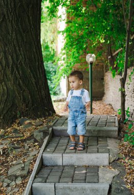 Küçük çocuk parkta merdivenlerden iniyor..