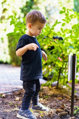Genç çocuk bahçede sopalı böceğe bakıyor..