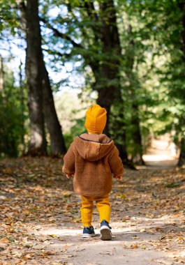 Küçük çocuk sonbahar parkında yürüyor çocuk yapraklarla oynuyor. 