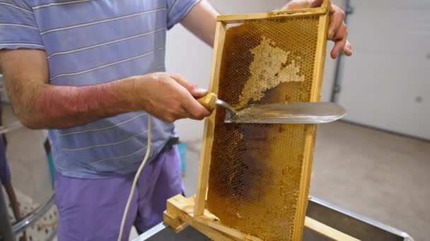 Mannelijke Handen Gebruiken Elektrisch Instrument Verzegelde Honingraten Ontdekken Imker Bereidt — Stockvideo