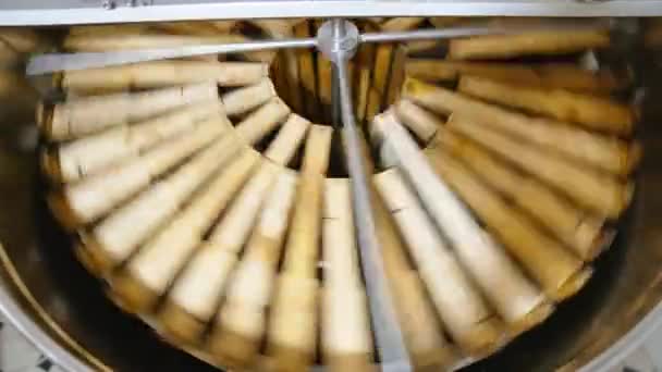 Arbeitsgerät Zur Honigernte Honigrahmen Kreis Drehen Sich Der Zentrifugenmaschine Gesundes — Stockvideo