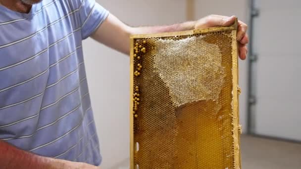 养蜂人手上的电动刀切断了蜂窝的上部 蜂蜜细胞被打开以方便产品的采集 靠近点 — 图库视频影像