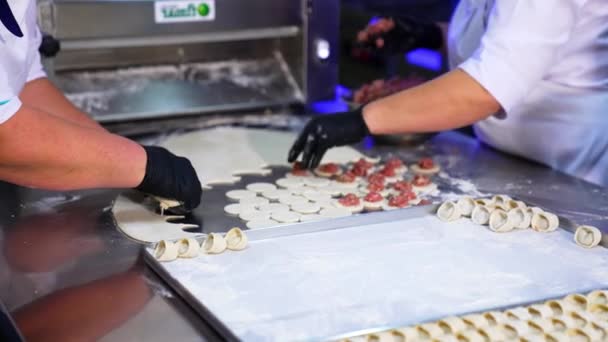 Procesul Fabricare Felurilor Mâncare Semi Gătite Restaurant Bucătarii Din Mănuși — Videoclip de stoc
