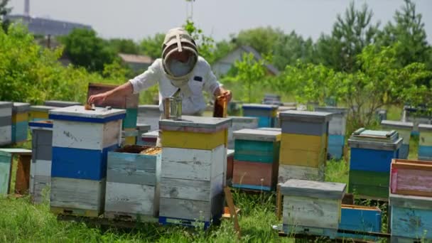 Apiarist Verschillende Gereedschappen Toe Tijdens Zijn Check Bijenboerderij Mens Reinigt — Stockvideo