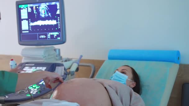 Diagnostyka Usg Ciężarnej Kobiety Pani Masce Leży Kanapie Badania Ultradźwiękowego — Wideo stockowe